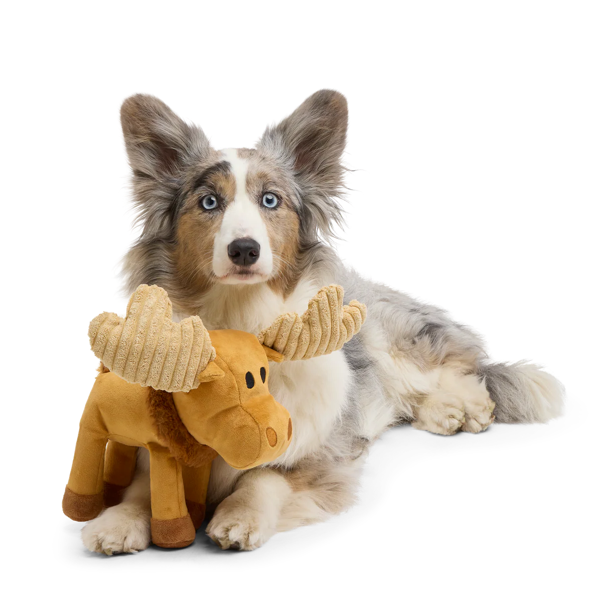 Melvin The Moose Plush Tug Dog Toy - Image 2