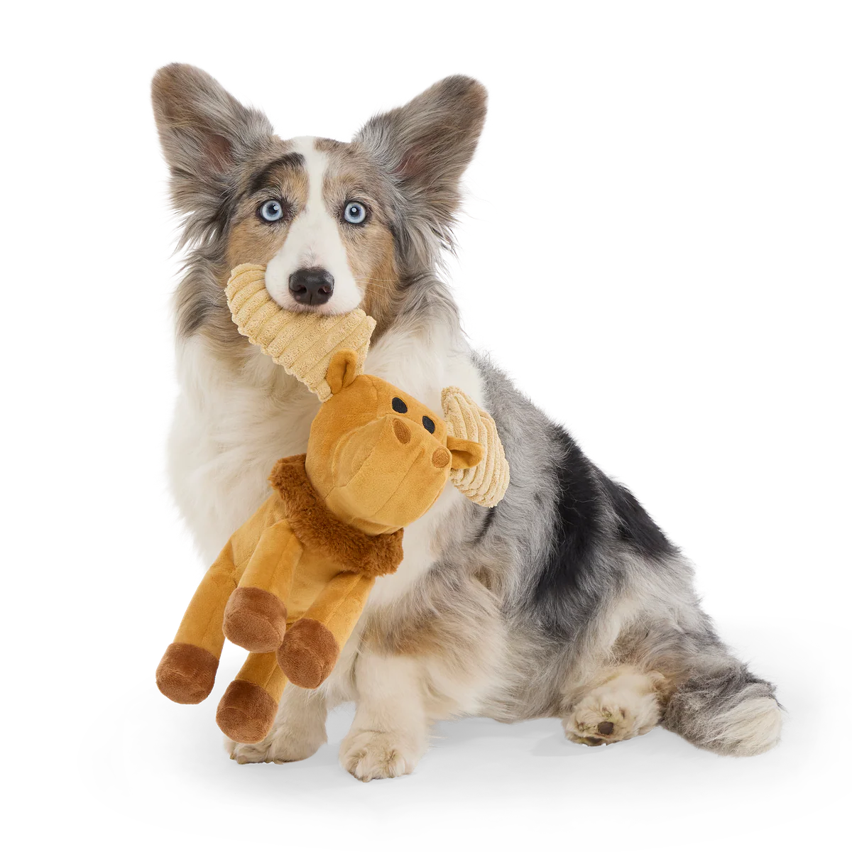 Melvin The Moose Plush Tug Dog Toy - Image 3