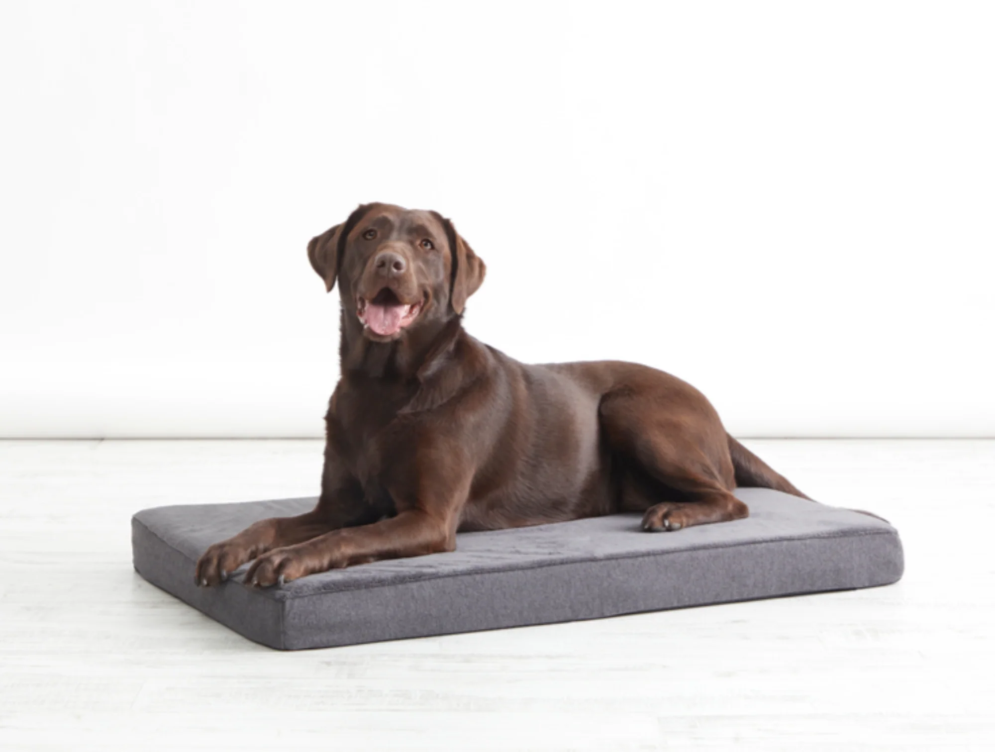 Platform Dog Bed - Image 6