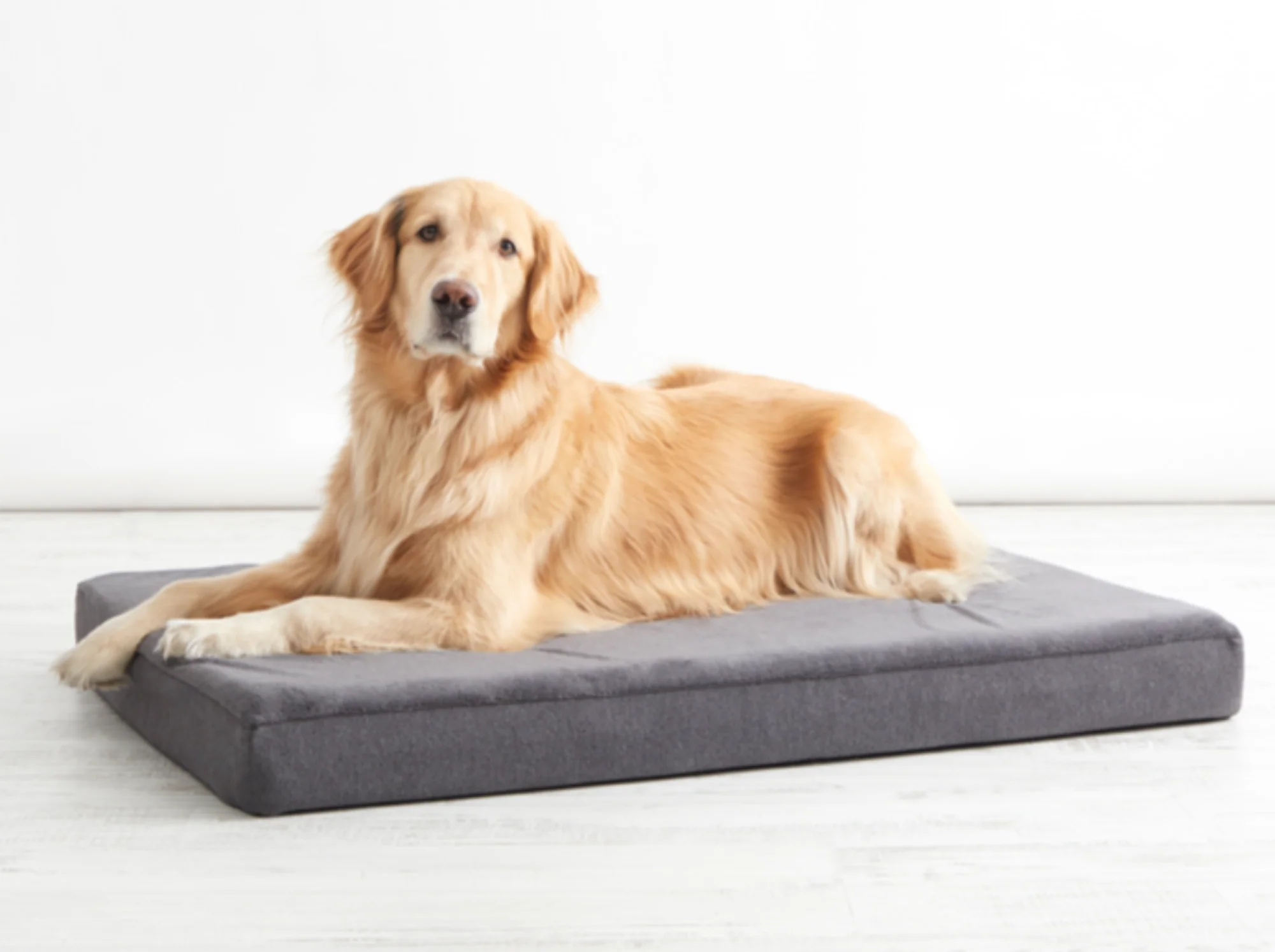 Platform Dog Bed - Image 7