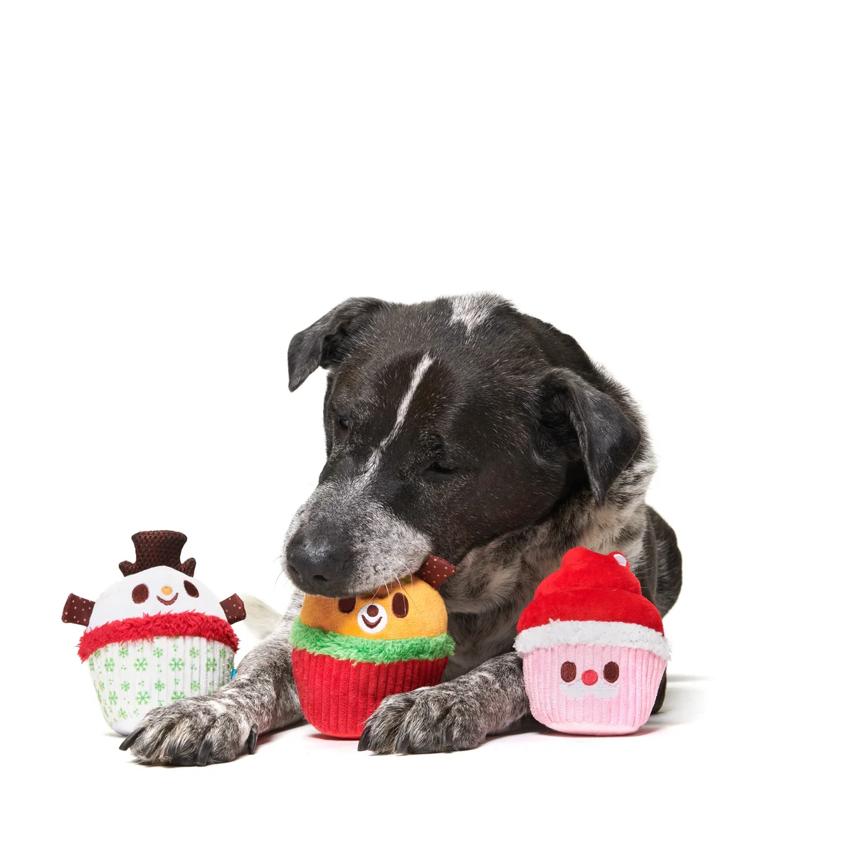 Merry Cupcakes Plush Multi-Part Dog Toy - Image 3