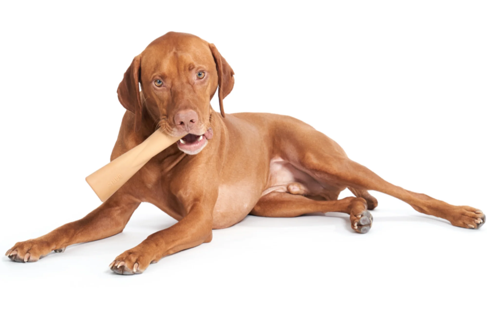 Mighty Bone Peanut Butter Super Chewer Durable Gnaw Dog Toy - Image 4