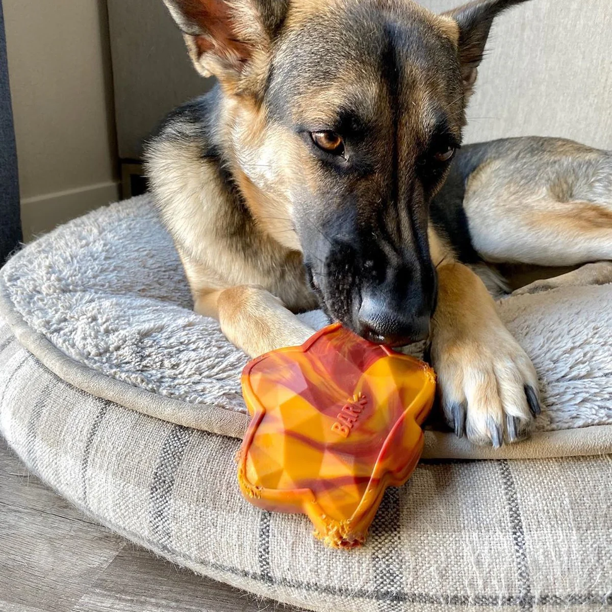 Mighty Maple Leaf Durable Super Chewer Gnaw Dog Toy - Image 8