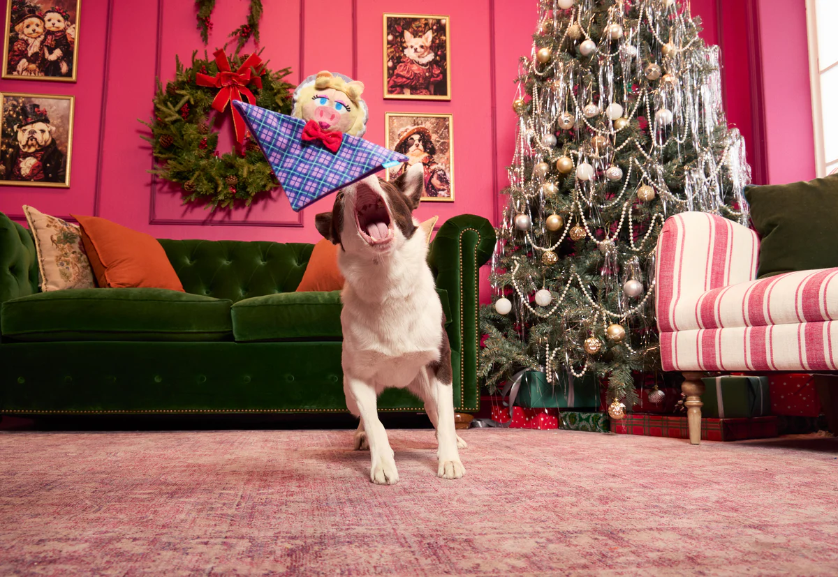 Miss Piggy as “Emily Catch-it” Plush Tug Dog Toy - Image 5