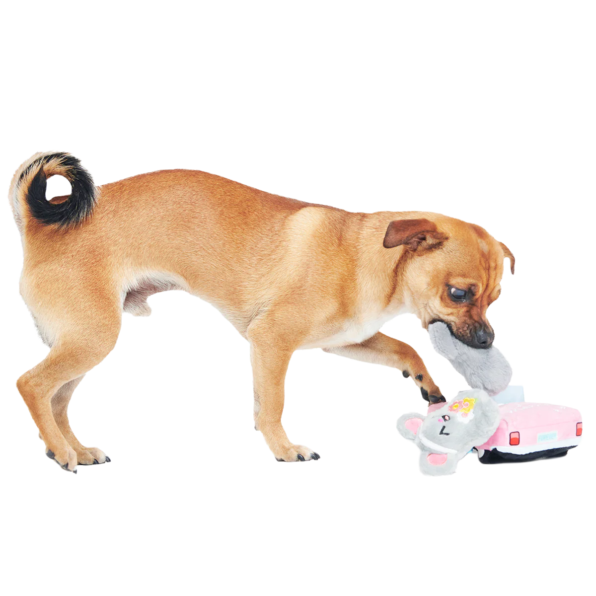 Mister and Mouses Plush Multi-Part Dog Toy - Image 3