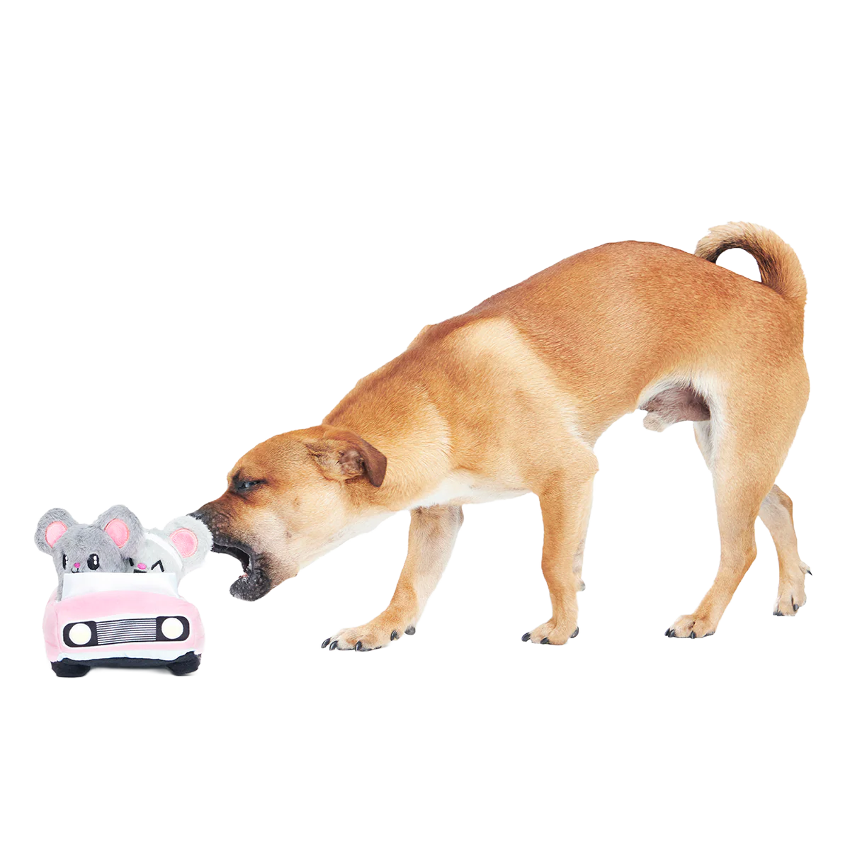 Mister and Mouses Plush Multi-Part Dog Toy - Image 4