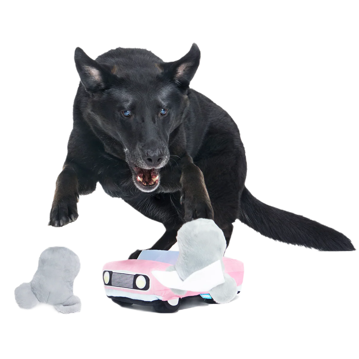 Mister and Mouses Plush Multi-Part Dog Toy - Image 5