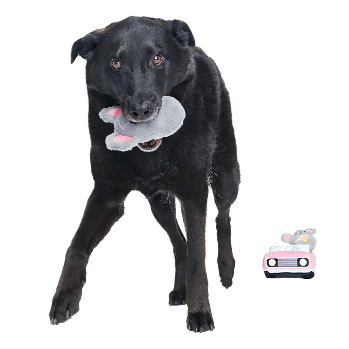 Mister and Mouses Plush Multi-Part Dog Toy - Image 6