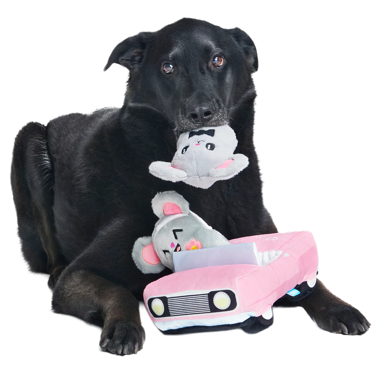 Mister and Mouses Plush Multi-Part Dog Toy - Image 7