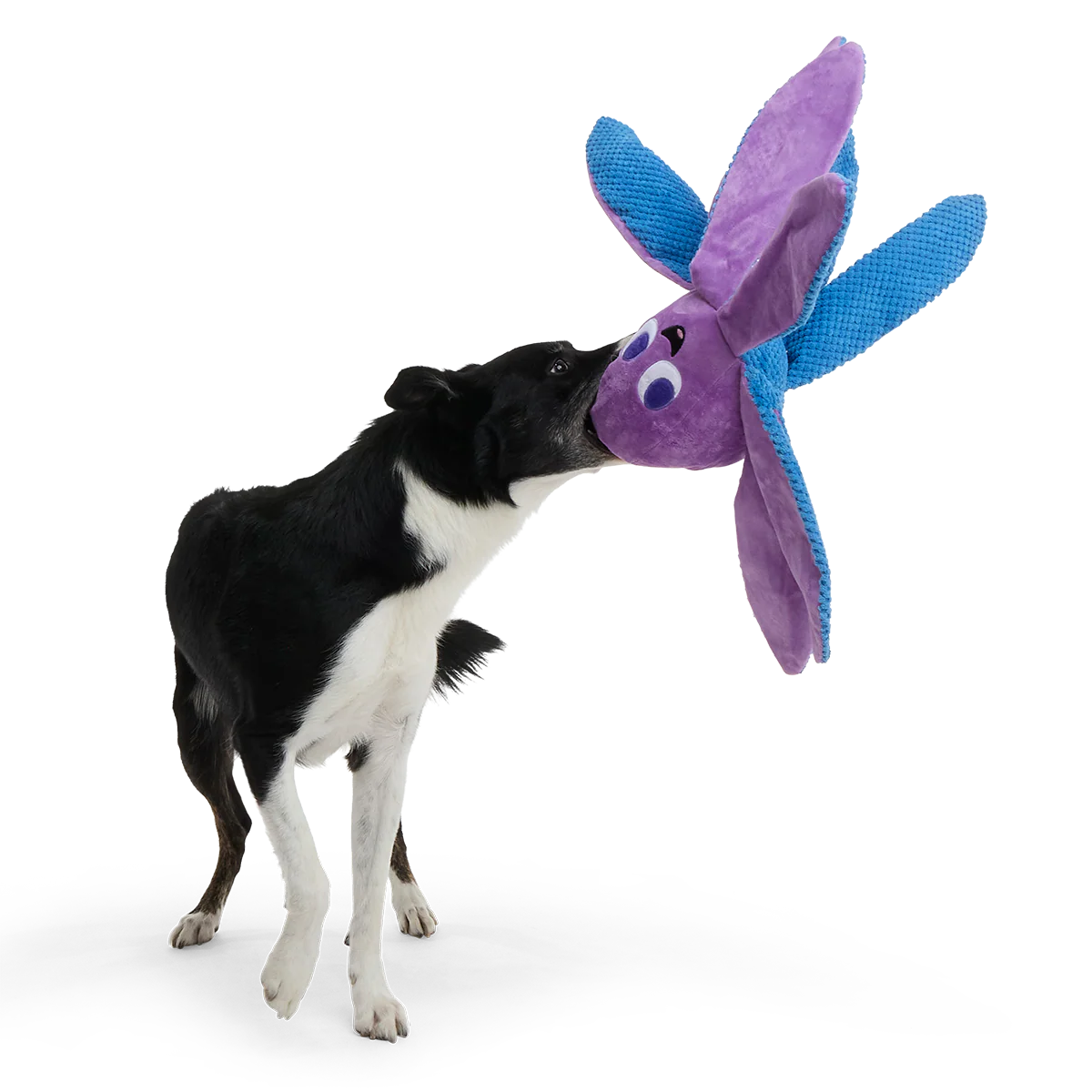 Mondo Ollie the Octopus Plush Tug + Extra-Large Dog Toy - Image 4