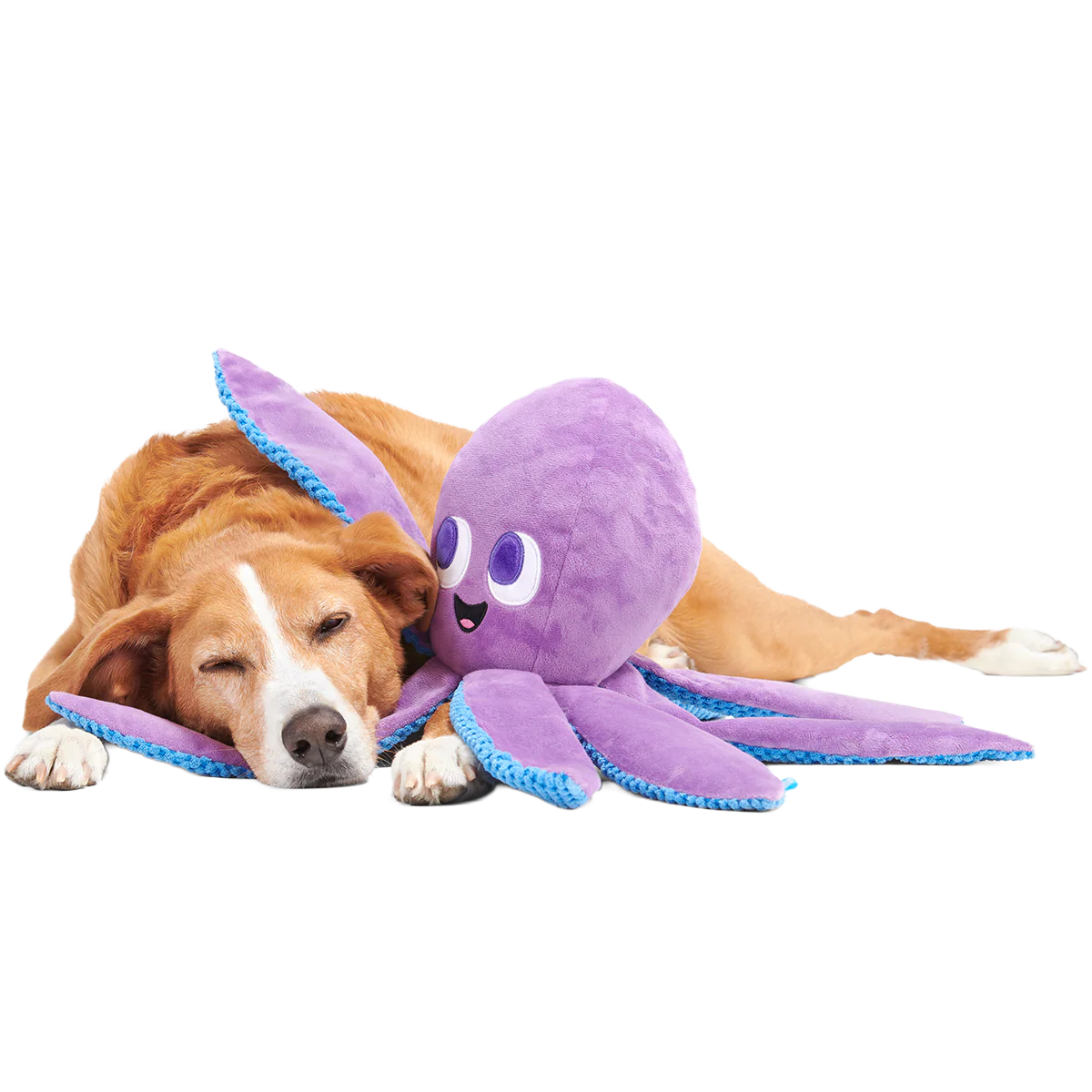 Mondo Ollie the Octopus Plush Tug + Extra-Large Dog Toy - Image 7