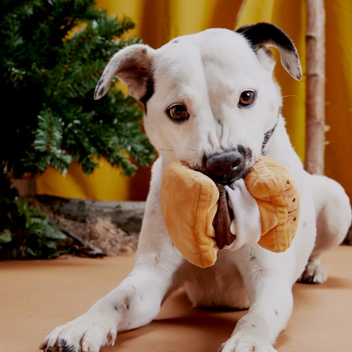 More S'mores Plush Tug Dog Toy - Image 4