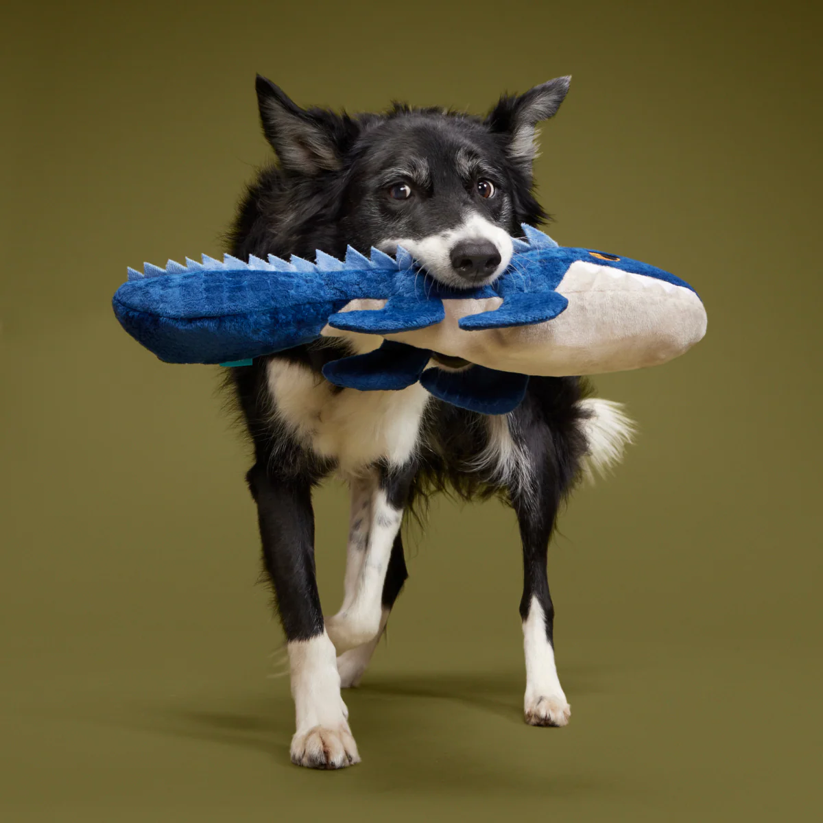 Mosasaurus Plush 2-in-1 Rip and Reveal Dog Toy - Image 4