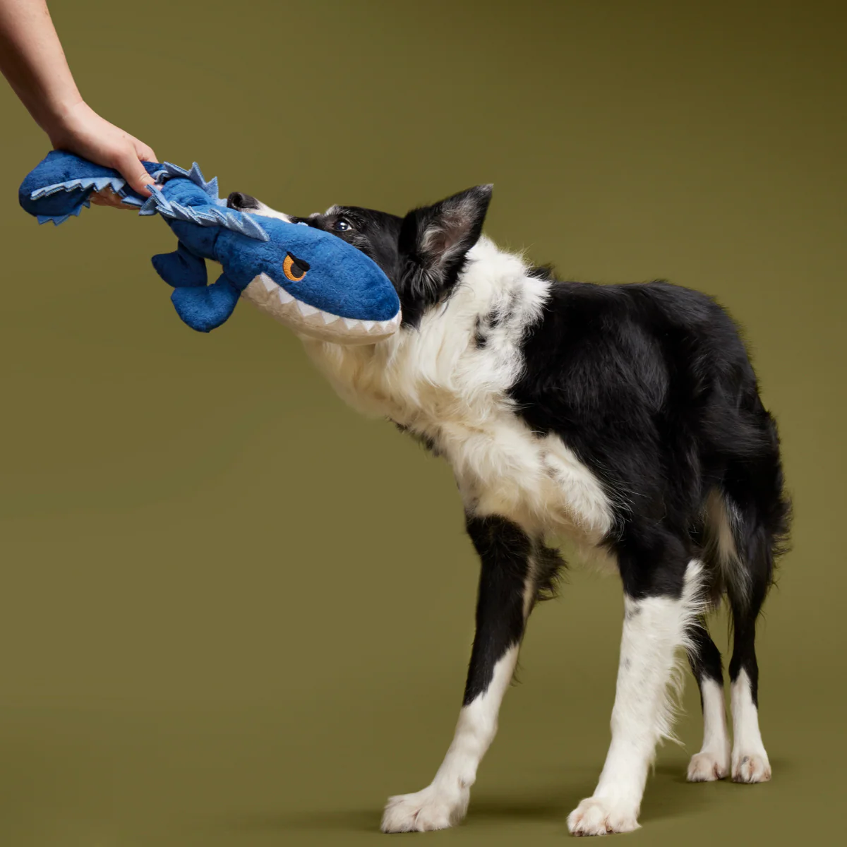 Mosasaurus Plush 2-in-1 Rip and Reveal Dog Toy - Image 5