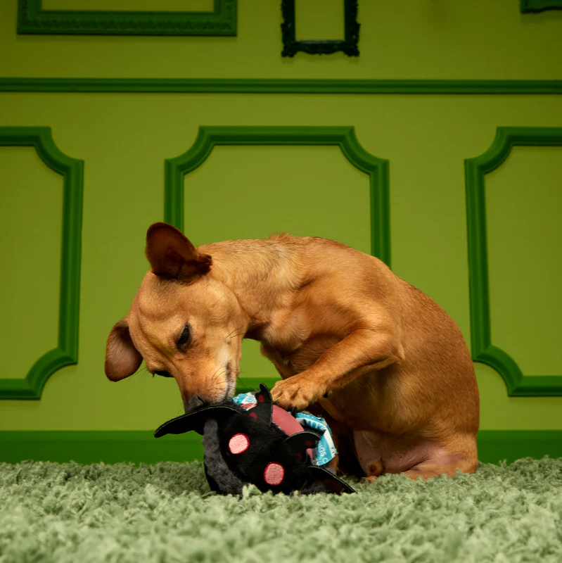 Mothmutt Super Chewer Durable 2-in-1 Enrichment Dog Toy - Image 4