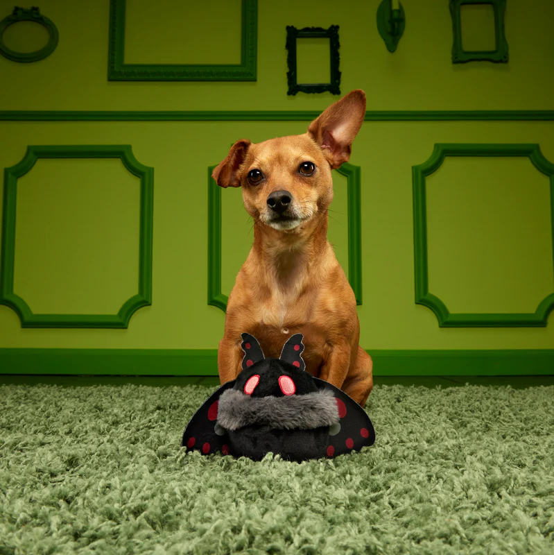 Mothmutt Super Chewer Durable 2-in-1 Enrichment Dog Toy - Image 5