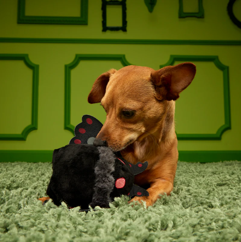 Mothmutt Super Chewer Durable 2-in-1 Enrichment Dog Toy - Image 6