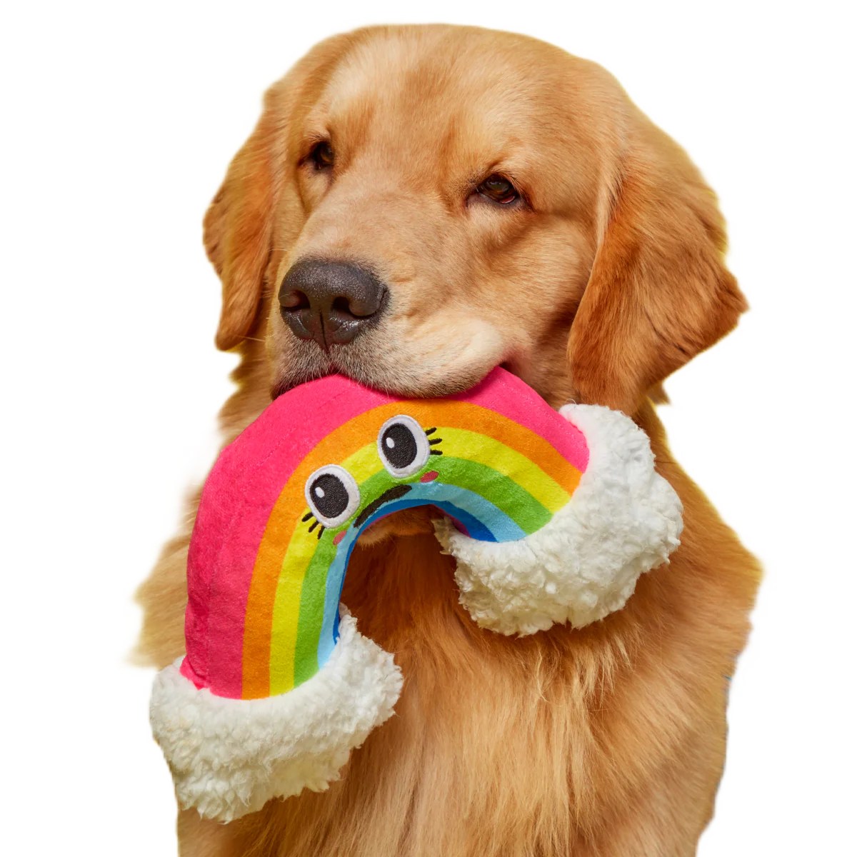 Mr. Blue Sky Plush Tug Dog Toy - Image 2