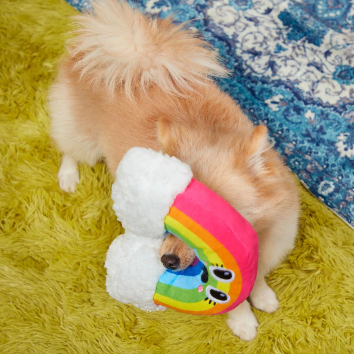 Mr. Blue Sky Plush Tug Dog Toy - Image 3