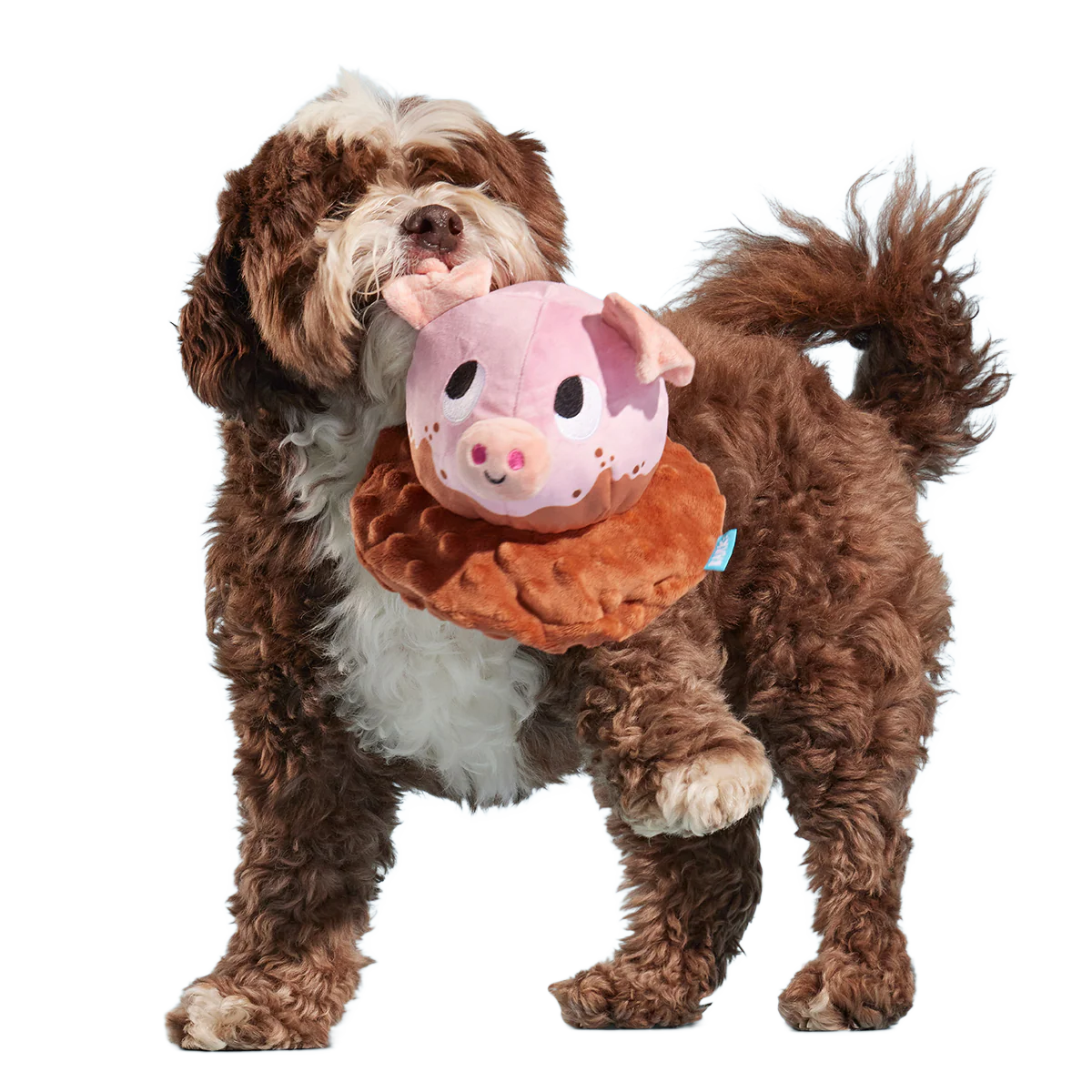 Muddy Maude Plush Fetch Dog Toy - Image 2