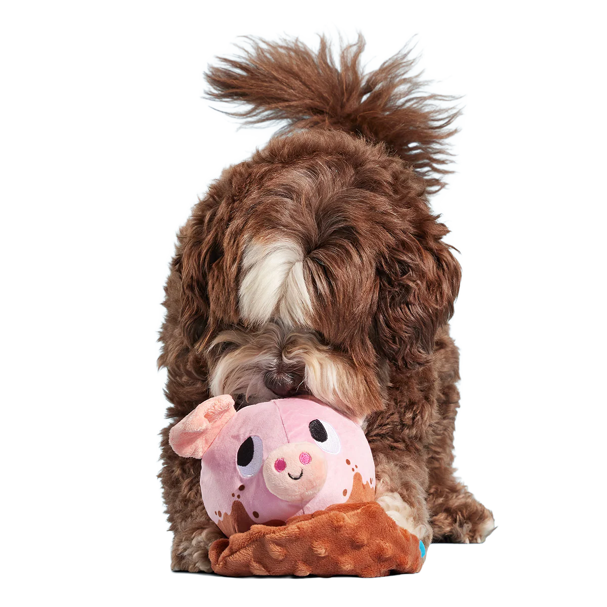 Muddy Maude Plush Fetch Dog Toy - Image 3