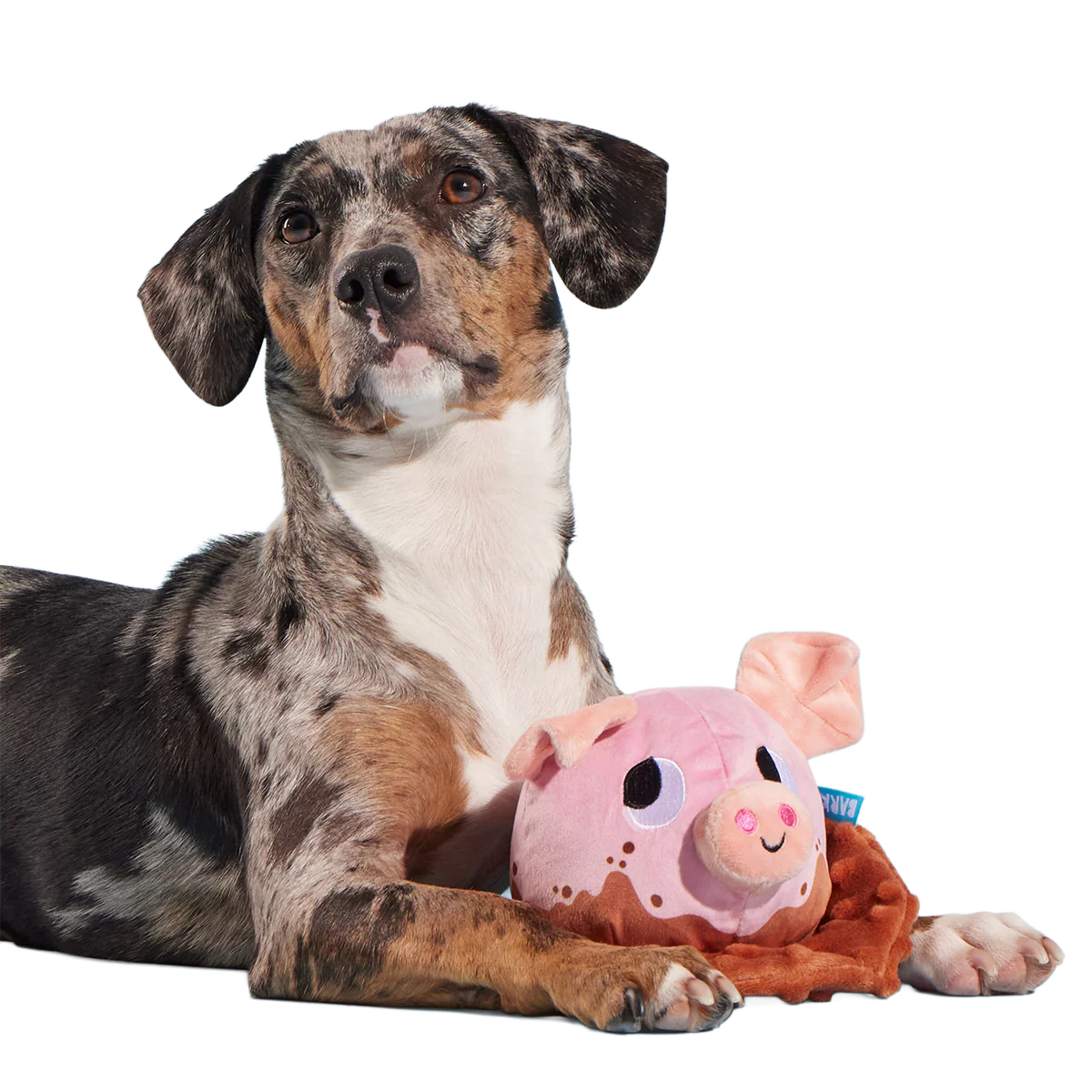 Muddy Maude Plush Fetch Dog Toy - Image 4