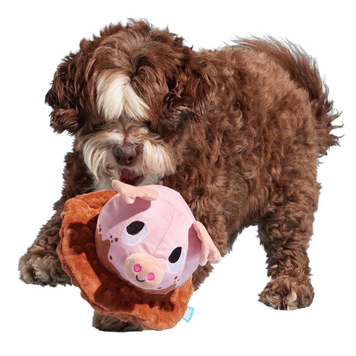 Muddy Maude Plush Fetch Dog Toy - Image 5