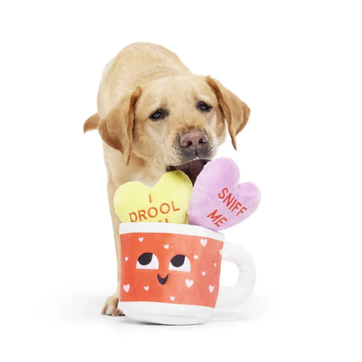 Mugs n' Kisses Plush Multi-Part + Enrichment Dog Toy - Image 2
