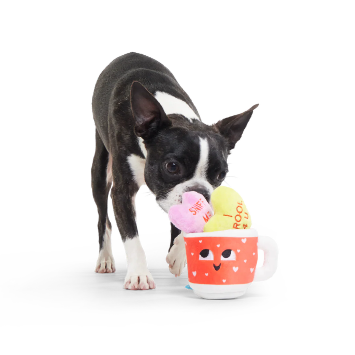 Mugs n' Kisses Plush Multi-Part + Enrichment Dog Toy - Image 3