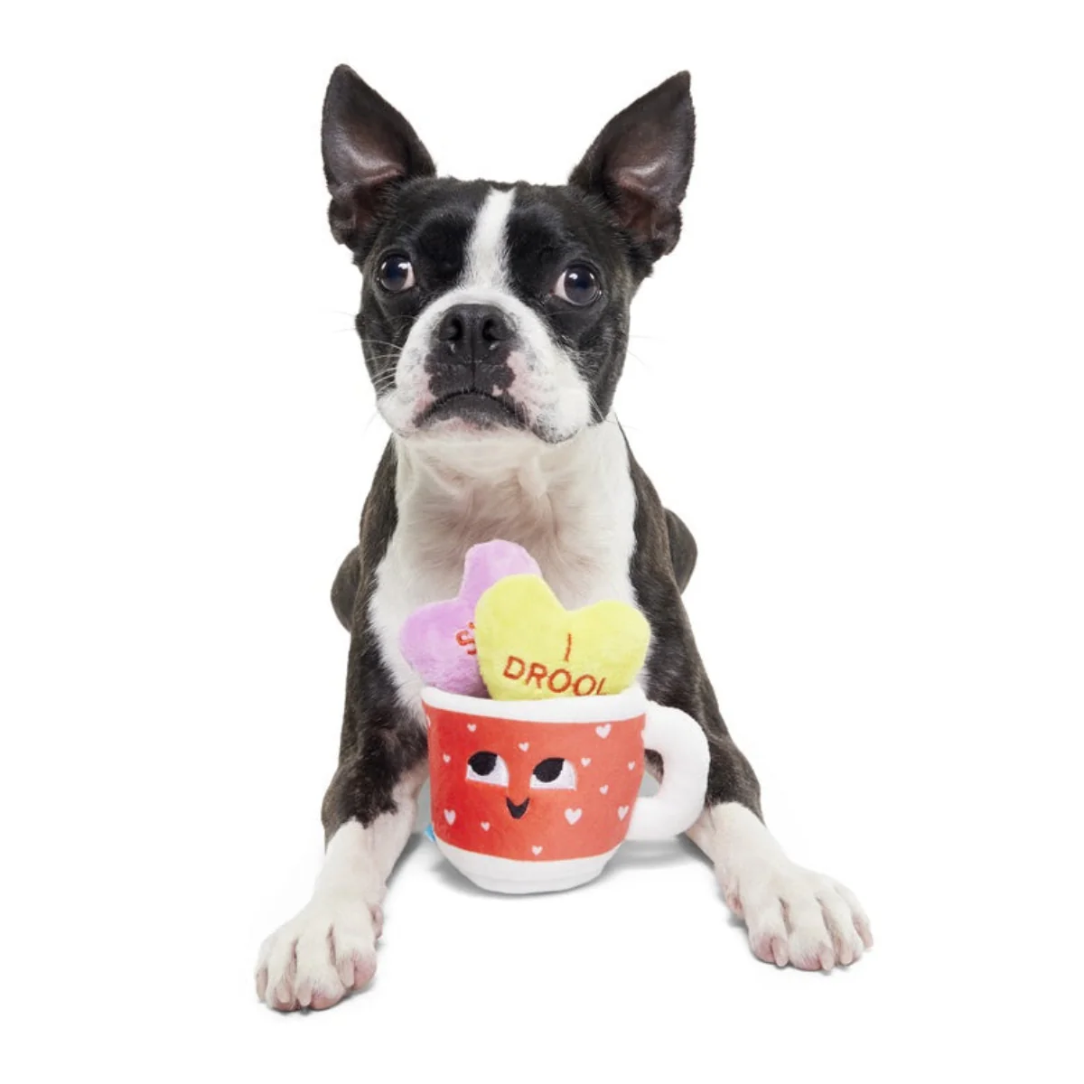 Mugs n' Kisses Plush Multi-Part + Enrichment Dog Toy - Image 4