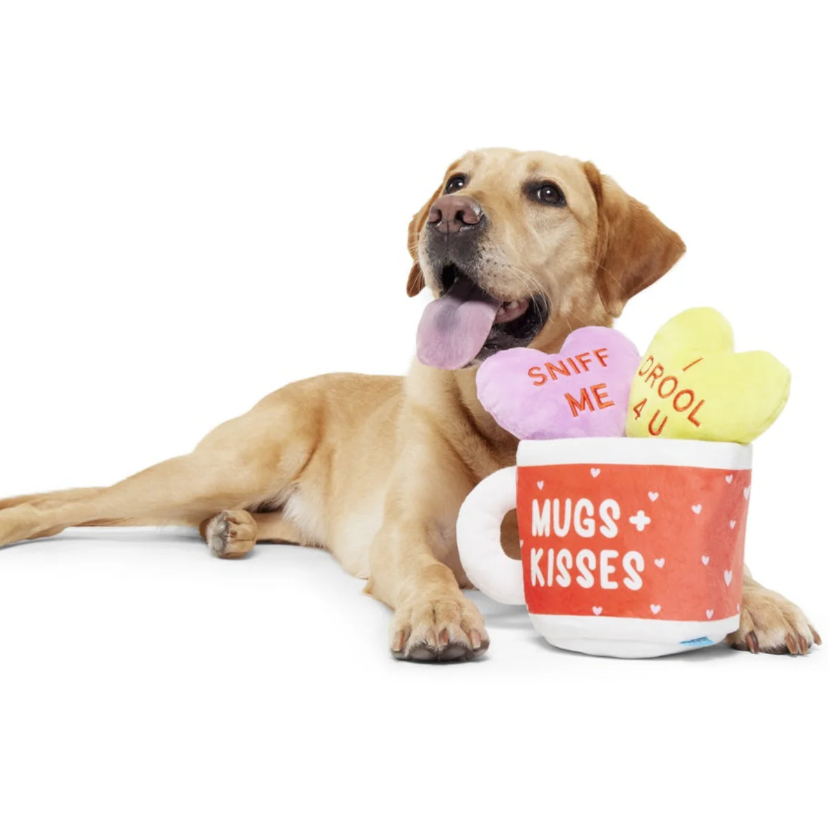 Mugs n' Kisses Plush Multi-Part + Enrichment Dog Toy - Image 5