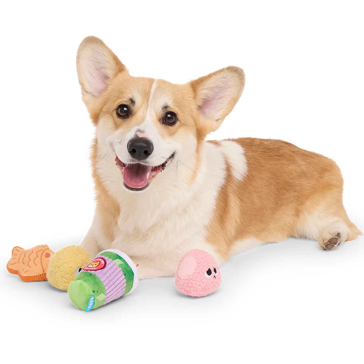 Muttcha & Mochi Mates Plush Multi-Part Dog Toy - Image 3