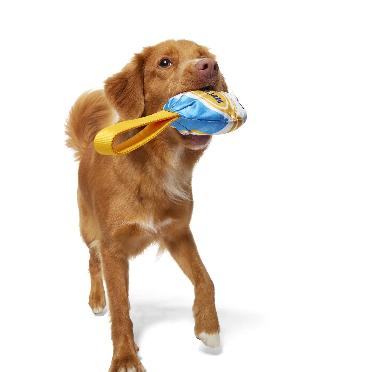 Mutterball Turkey Durable Super Chewer 2-in-1 Rip and Reveal + Tug Dog Toy - Image 2