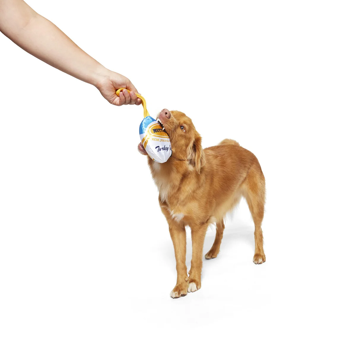 Mutterball Turkey Durable Super Chewer 2-in-1 Rip and Reveal + Tug Dog Toy - Image 4