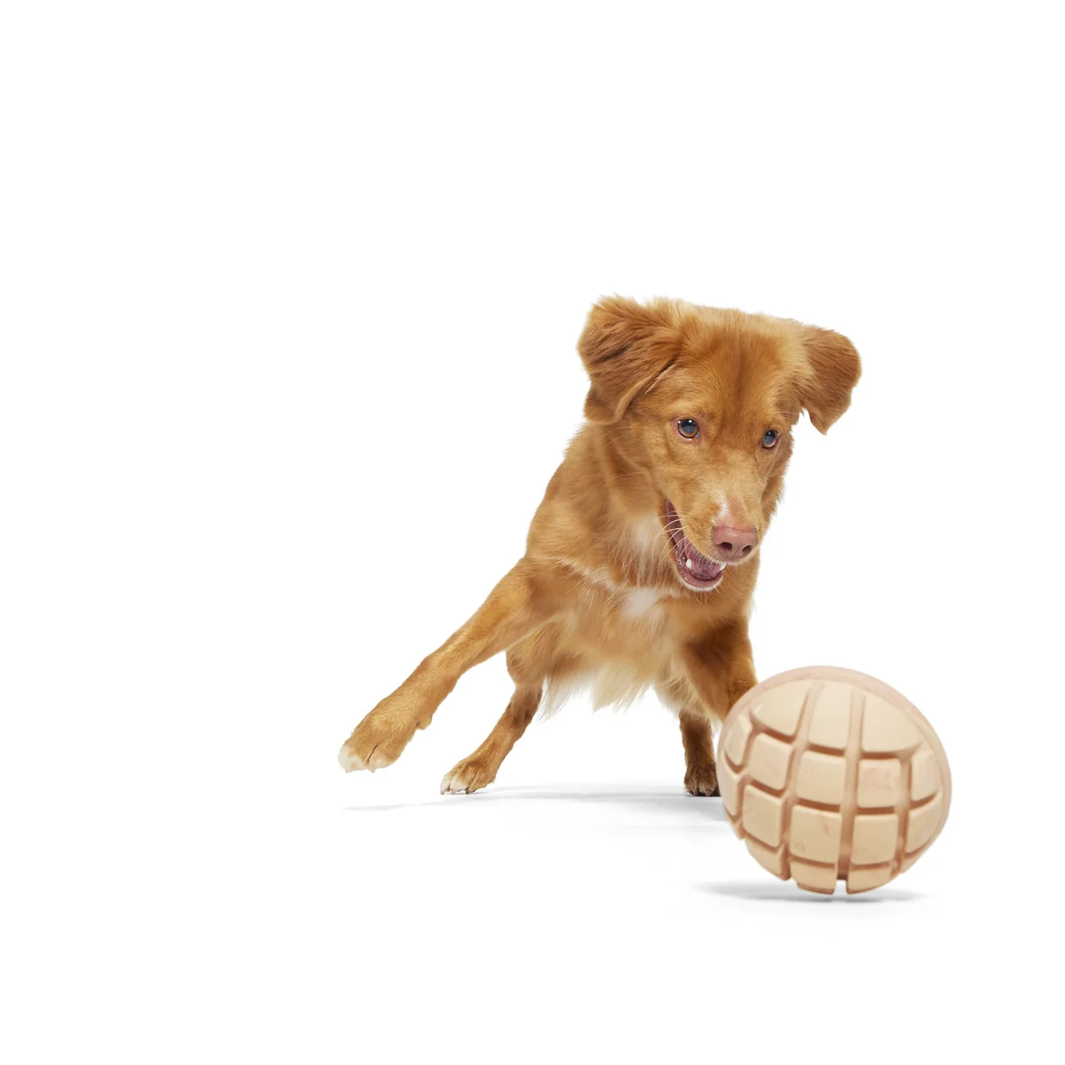 Mutterball Turkey Durable Super Chewer 2-in-1 Rip and Reveal + Tug Dog Toy - Image 5