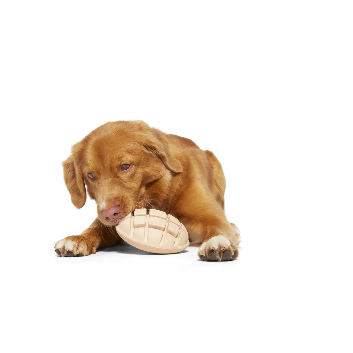Mutterball Turkey Durable Super Chewer 2-in-1 Rip and Reveal + Tug Dog Toy - Image 6