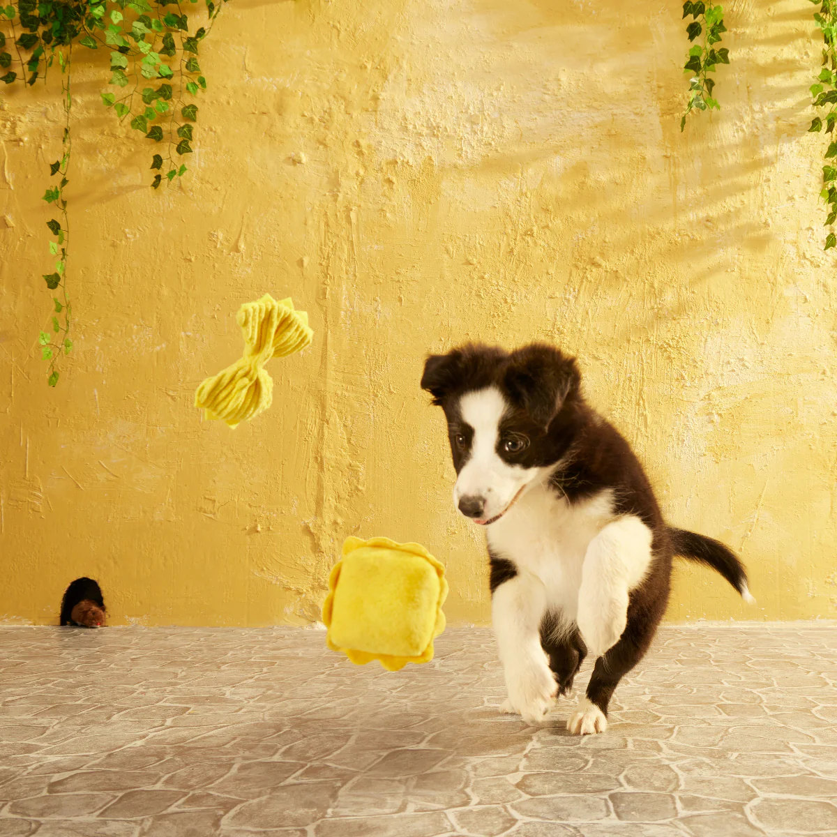 Mutto Bene Pasta - Image 3