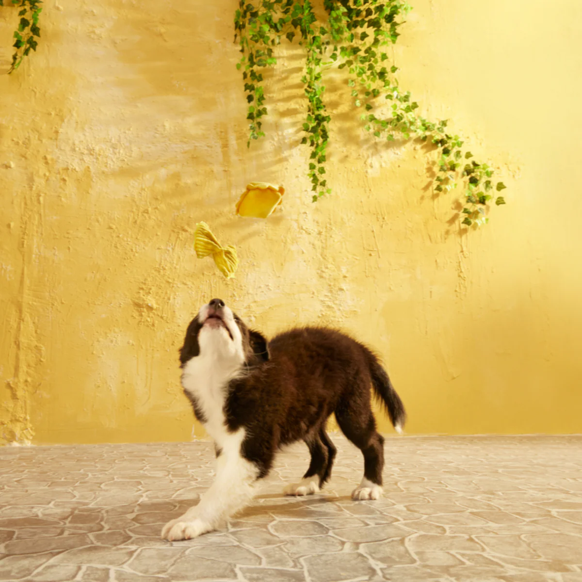 Mutto Bene Pasta - Image 4