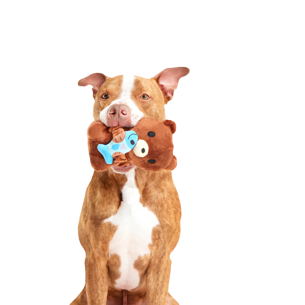 Izzy the Grizzly & Sal Plush Dog Toy - Image 3