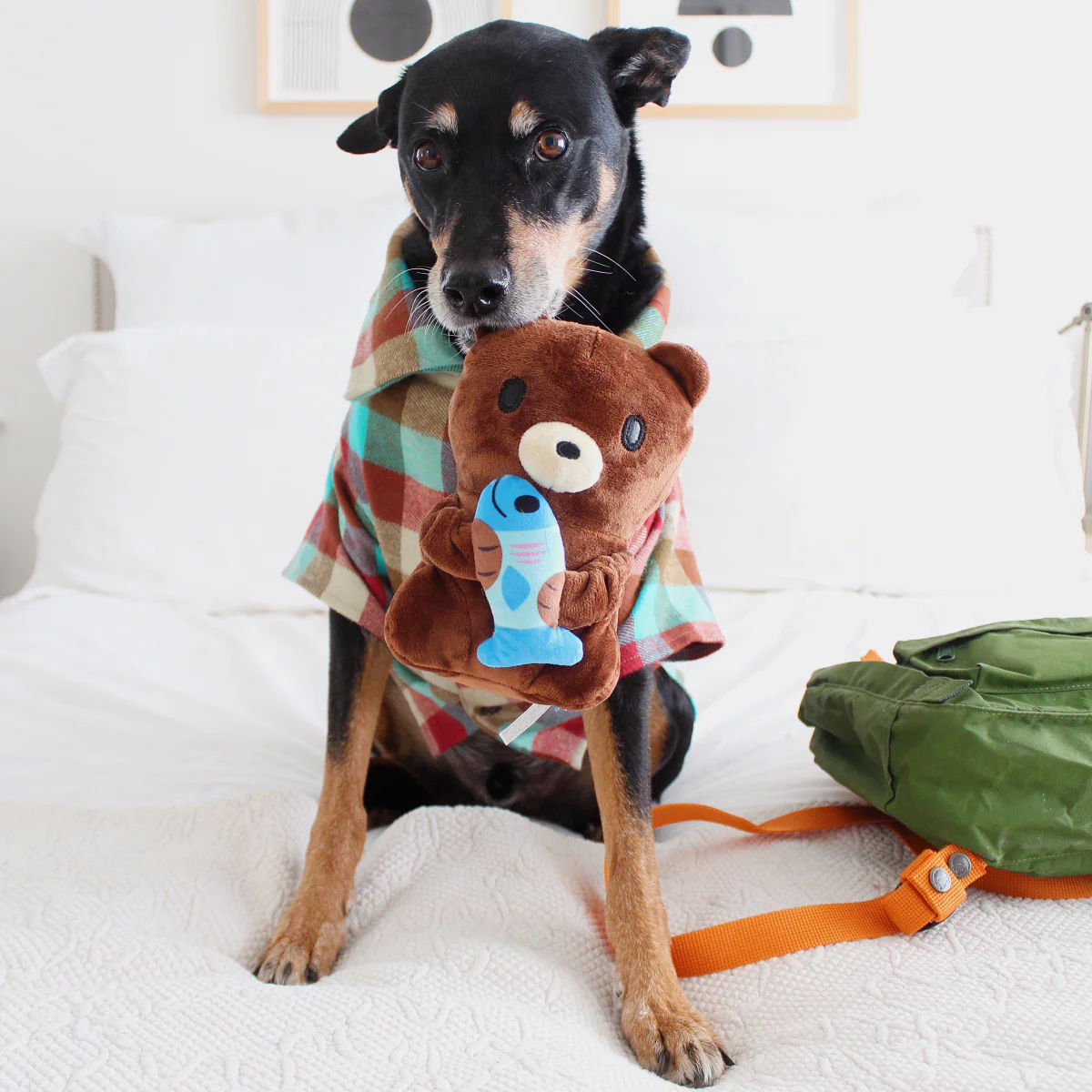 Izzy the Grizzly & Sal Plush Dog Toy - Image 4