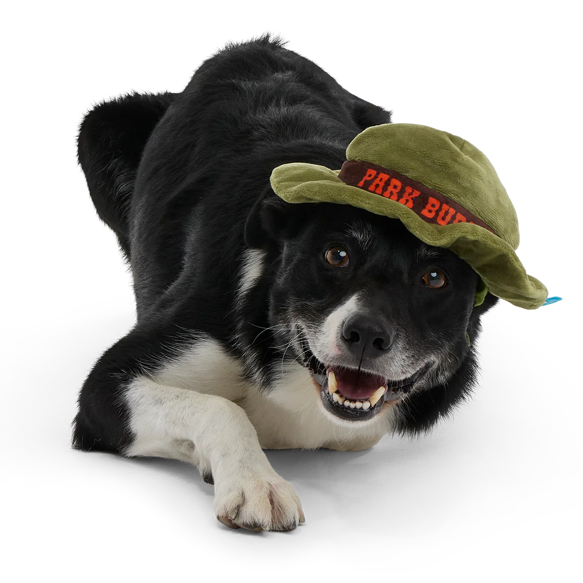 Park Buddy Hat Plush Wearable Dog Toy - Image 4