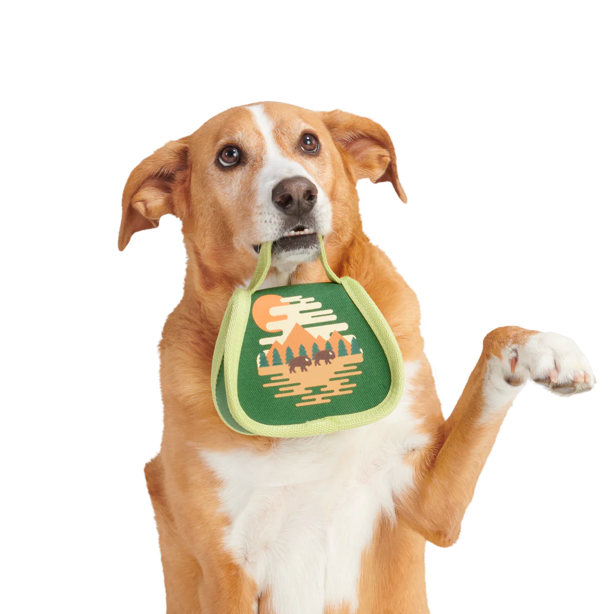 Parks Tuffel Bag Super Chewer Durable 2-in-1 Dog Toy - Image 3