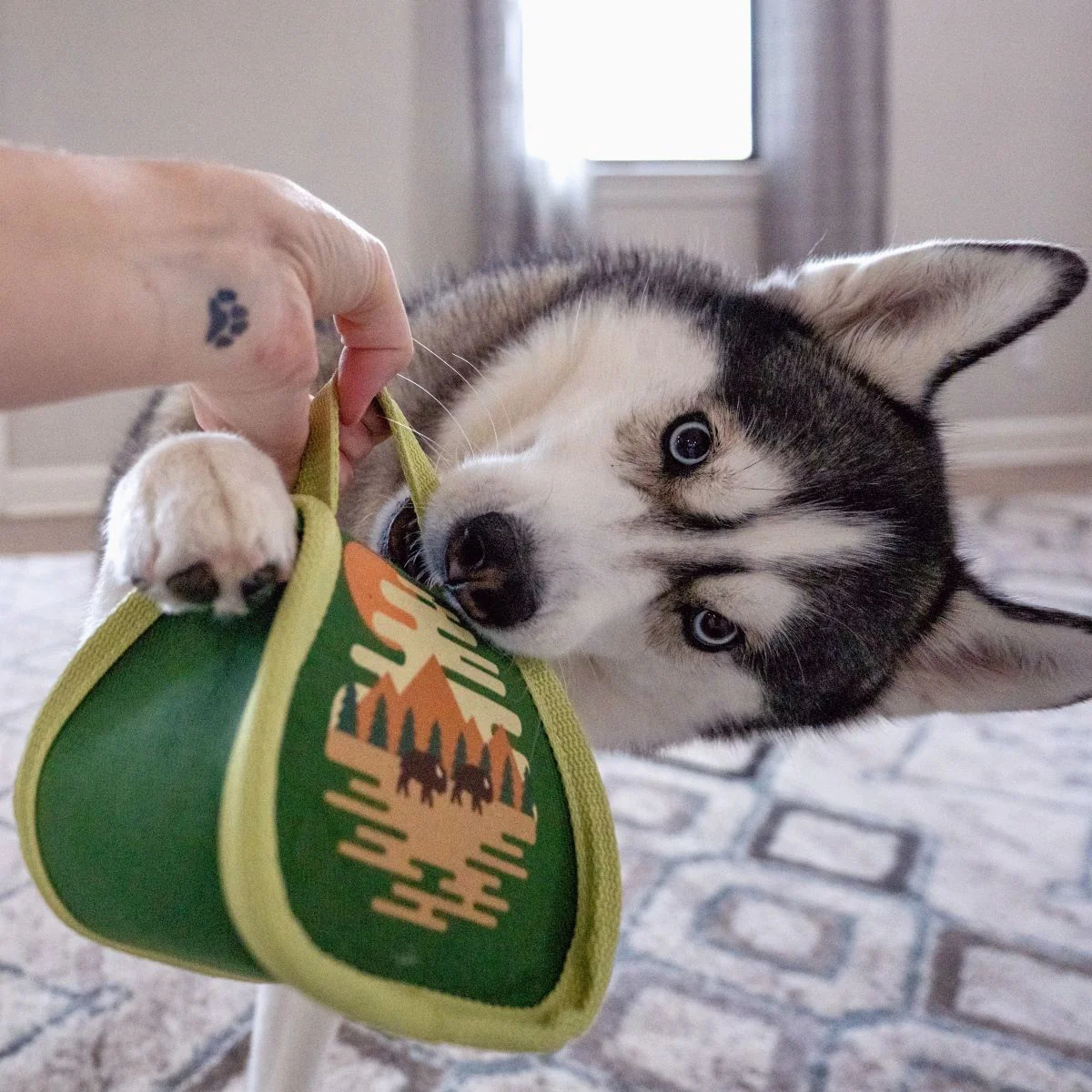Parks Tuffel Bag Super Chewer Durable 2-in-1 Dog Toy - Image 4