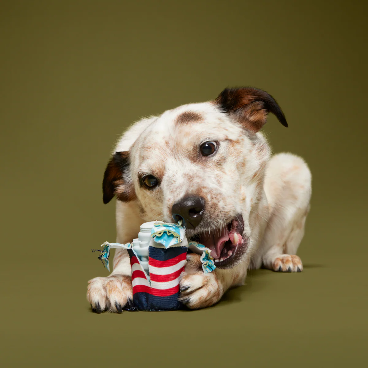 Nedry's Scheme Revealed Durable Super Chewer 2-in-1 Rip and Reveal Dog Toy - Image 2