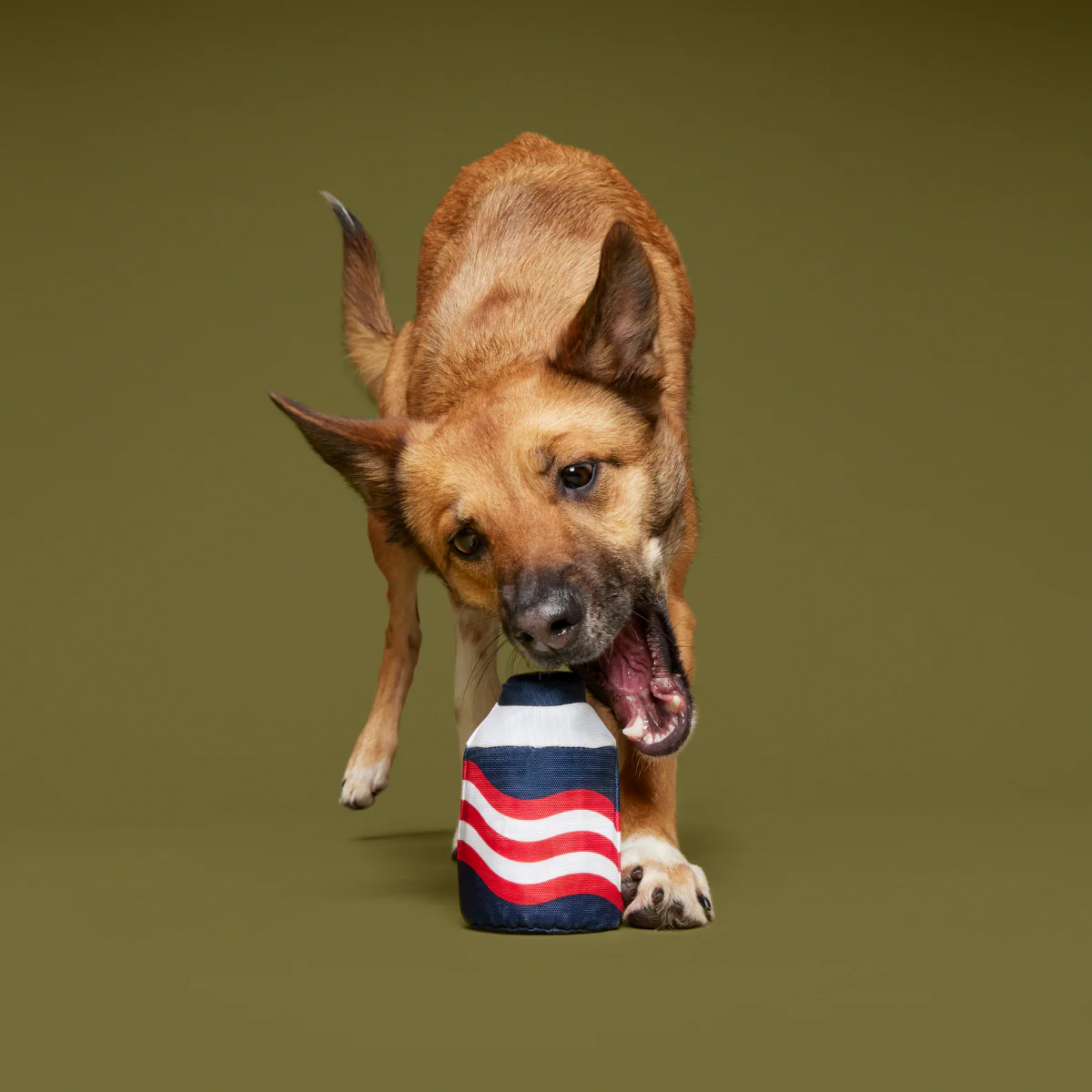 Nedry's Scheme Revealed Durable Super Chewer 2-in-1 Rip and Reveal Dog Toy - Image 3