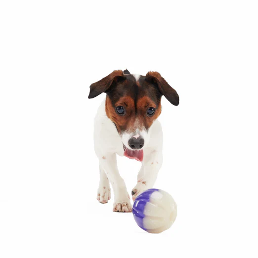 Nepzoom Durable Super Chewer Fetch Dog Toy - Image 2