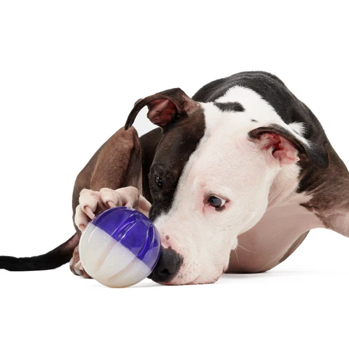 Nepzoom Durable Super Chewer Fetch Dog Toy - Image 3