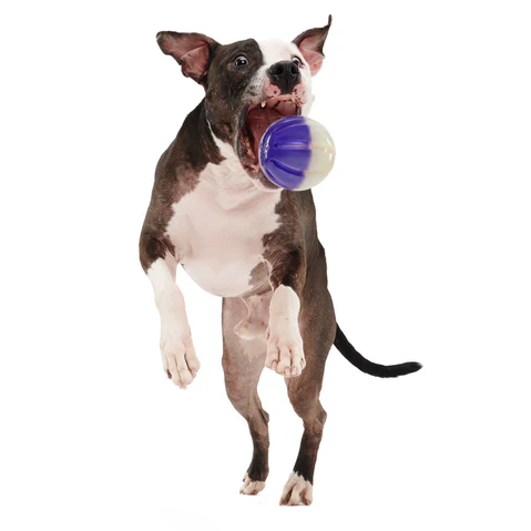 Nepzoom Durable Super Chewer Fetch Dog Toy - Image 4