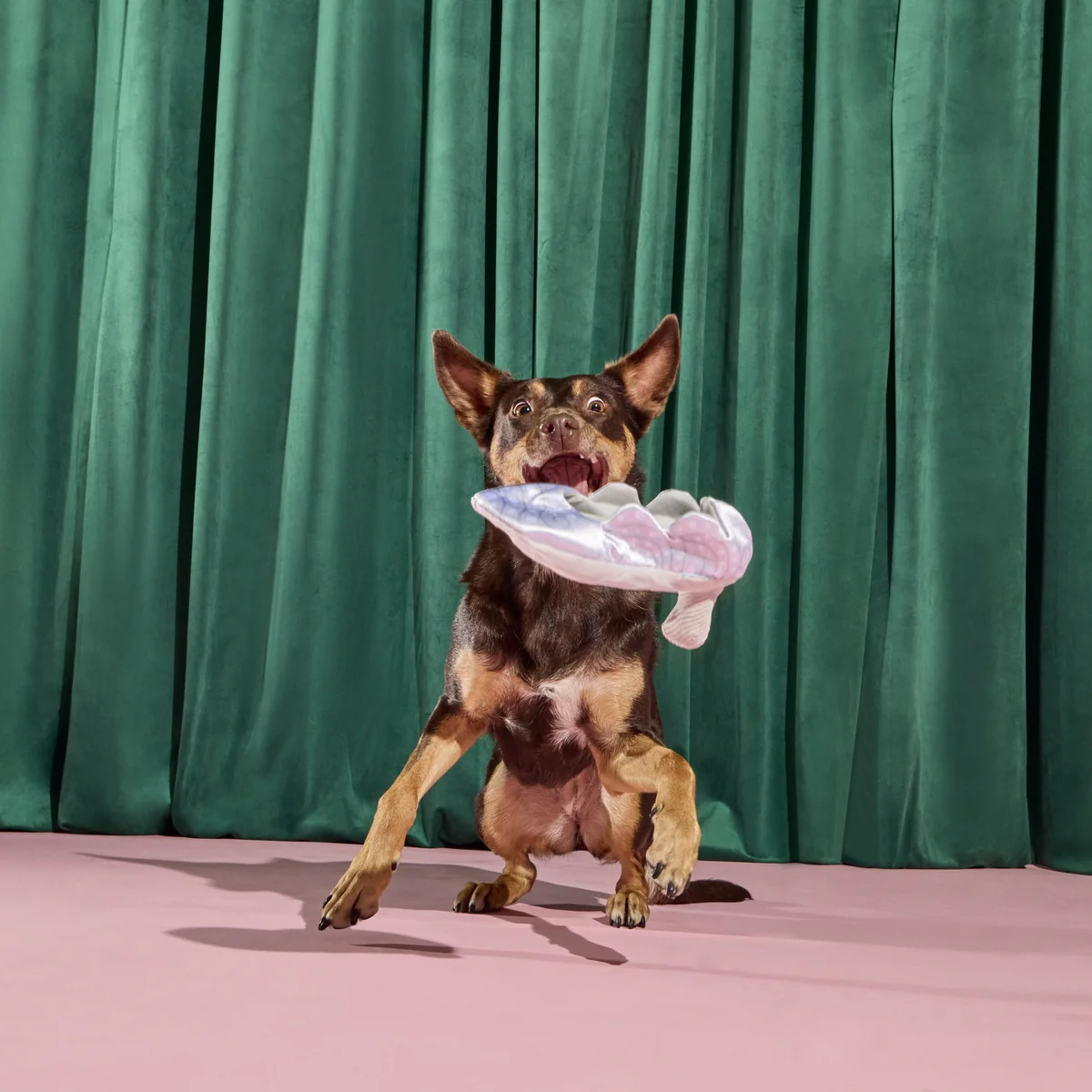 Nessa's Squeakin' Slipper Plush Enrichment Dog Toy - Image 9