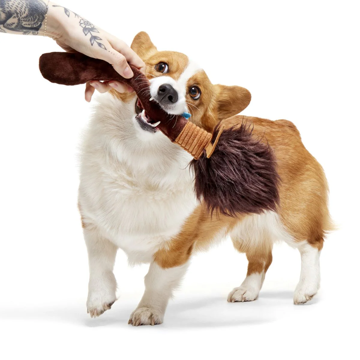 Nimbus 2000™ Broomstick Plush Tug Dog Toy - Image 3